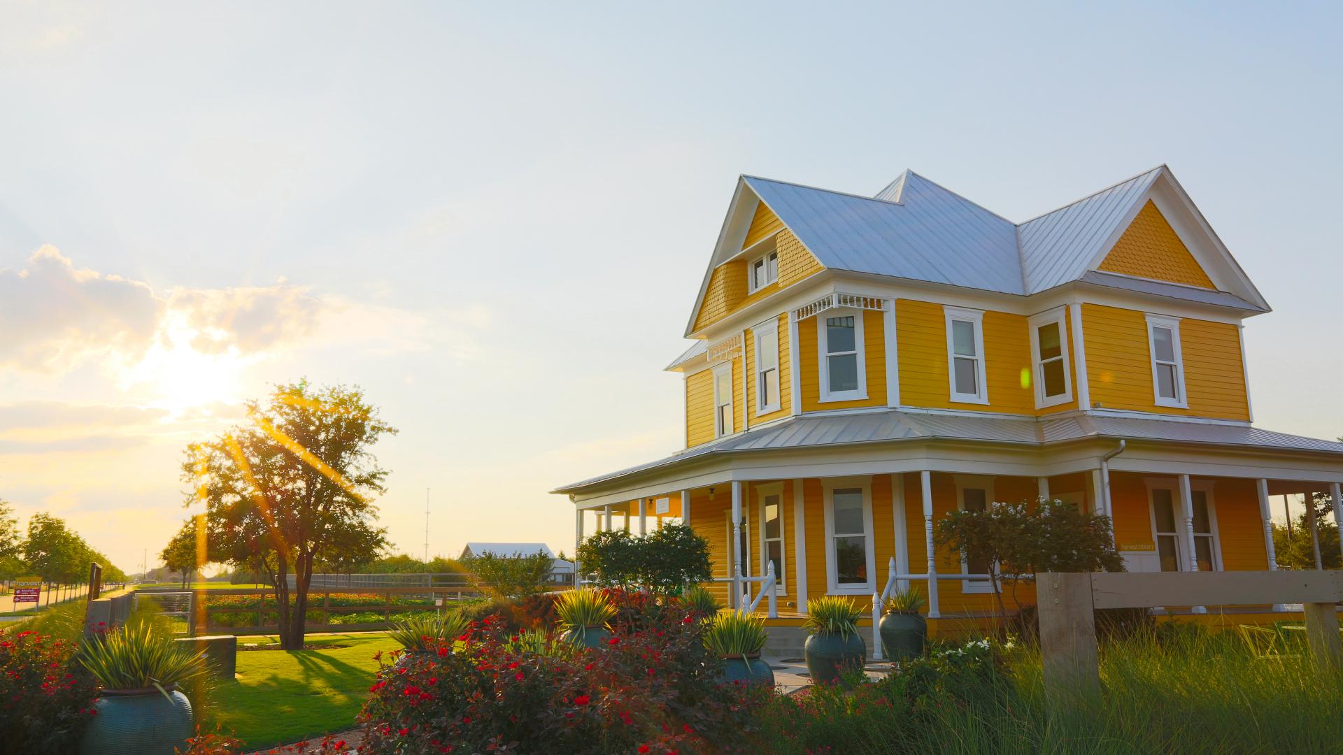 Turf services in Argyle, TX