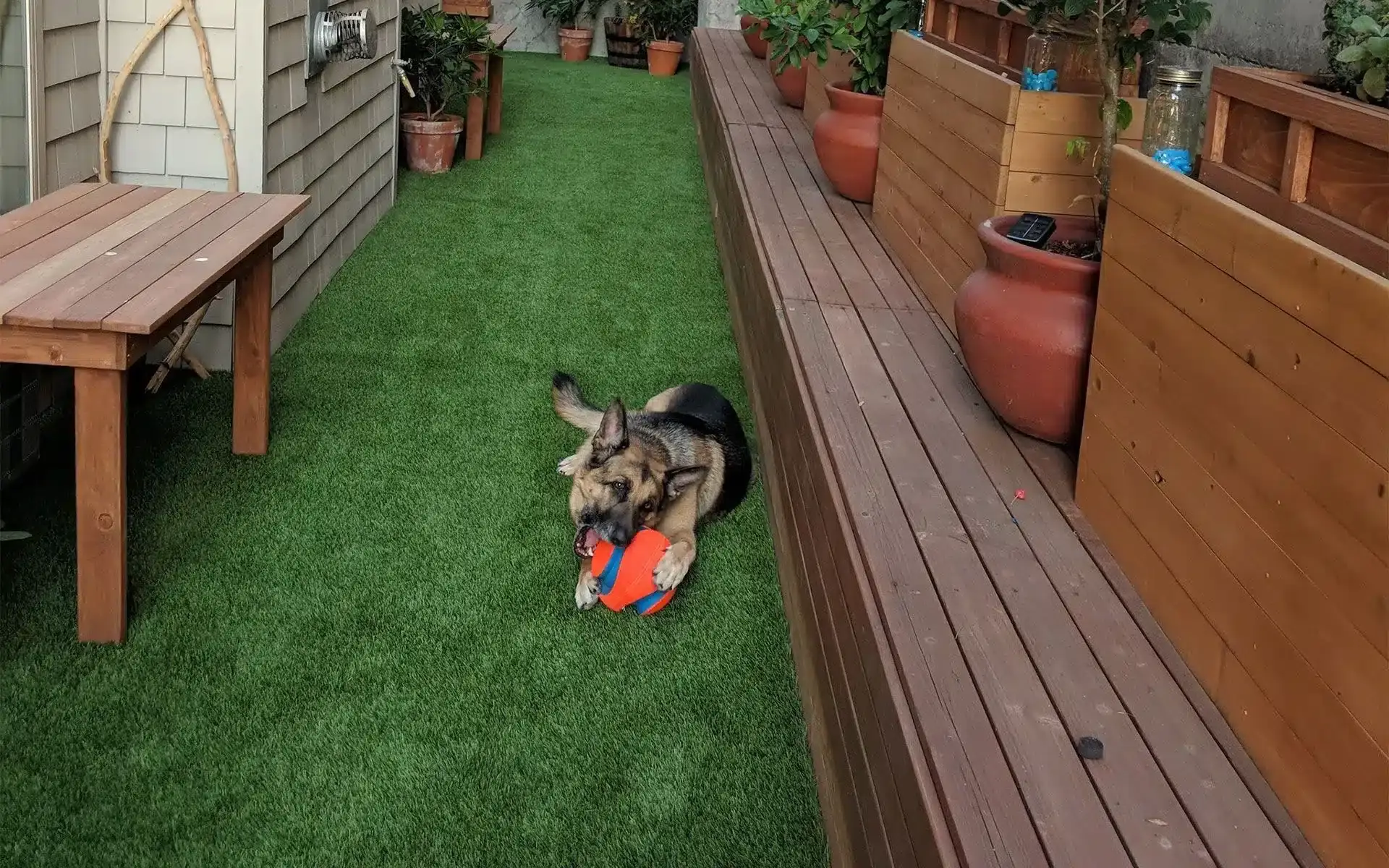 Pet Friendly Turf Installation